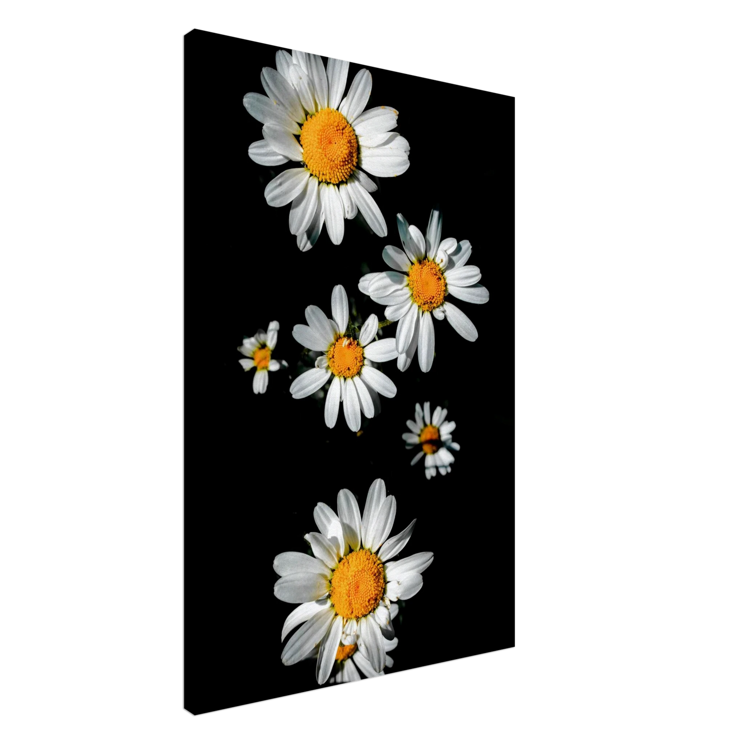 81bb69ac-a71d-4737-b901-40d76330129d