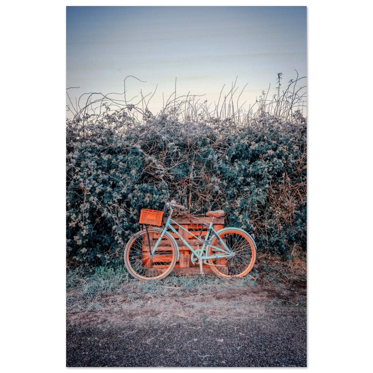 ad4b01c0-9781-40f1-91e0-bba0f04a0206