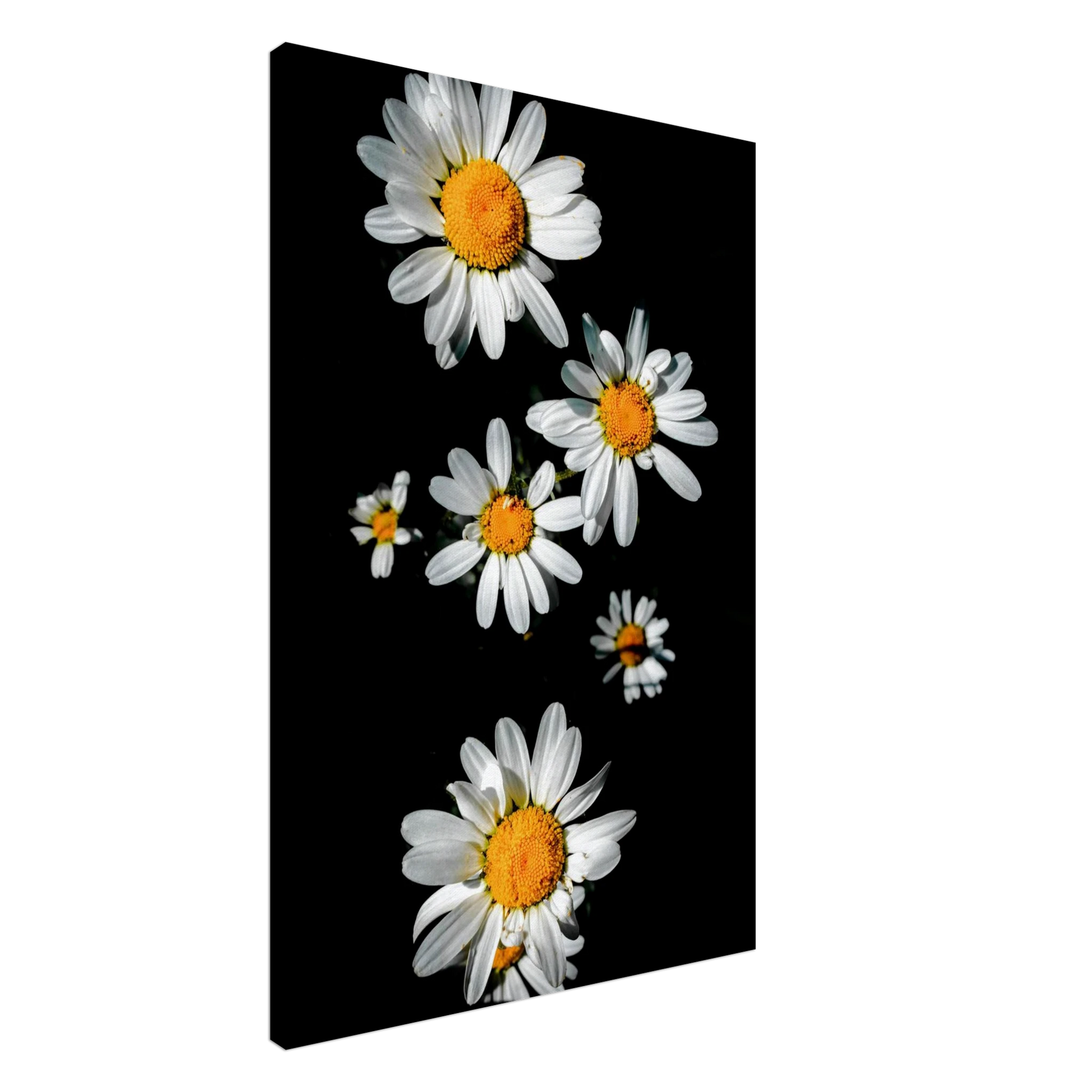 81bb69ac-a71d-4737-b901-40d76330129d