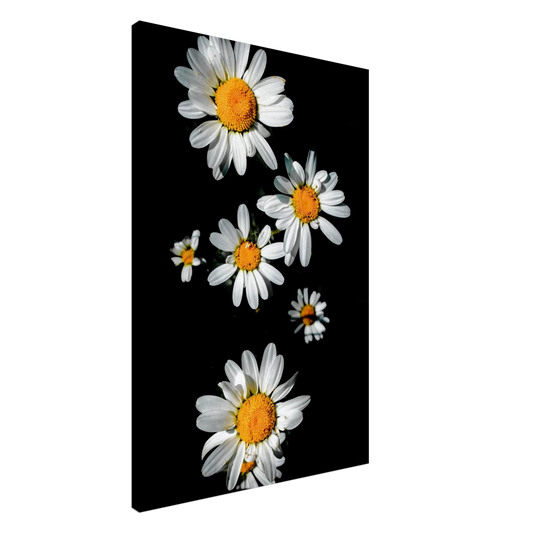 81bb69ac-a71d-4737-b901-40d76330129d