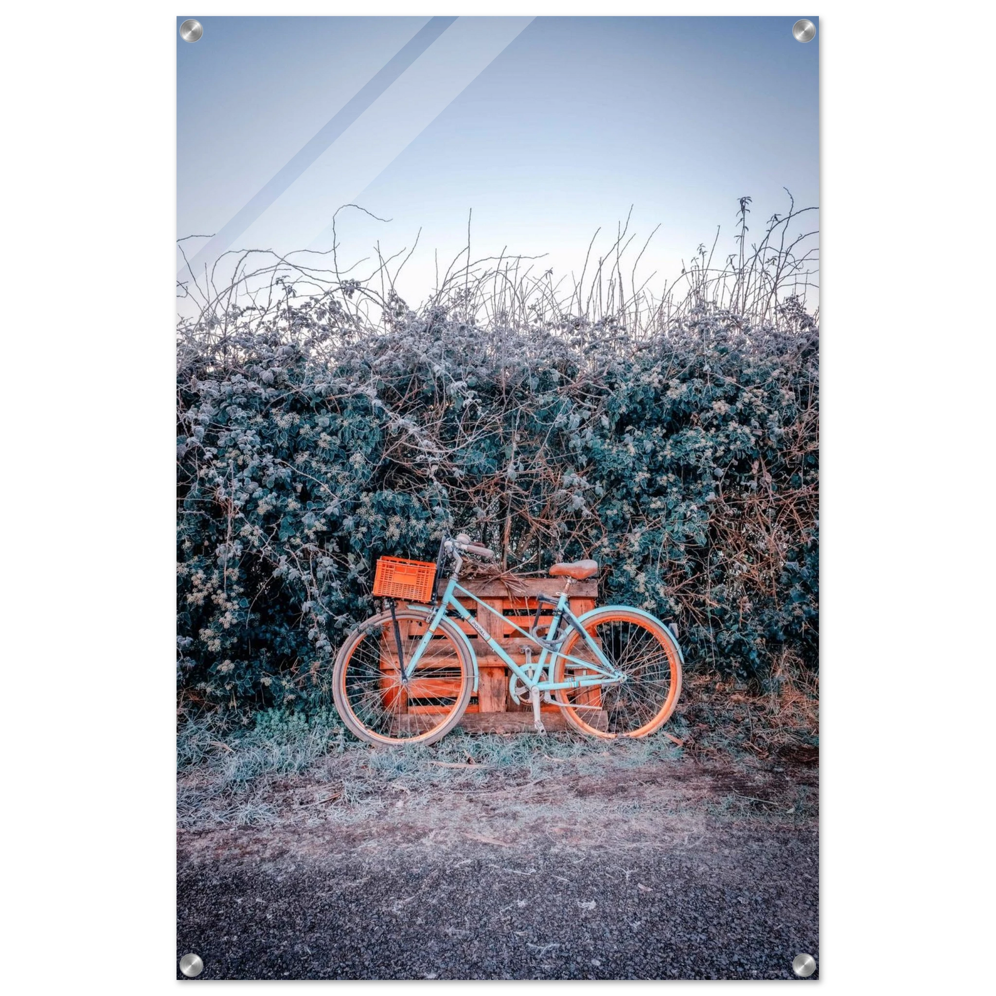 d6876793-1267-4930-84a1-f32ae87e557c